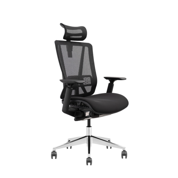 T1-BH02